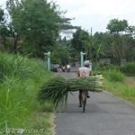 インドネシアの豆腐村「カリサリ(Kali sari)村」の豆腐廃液による汚染への対策